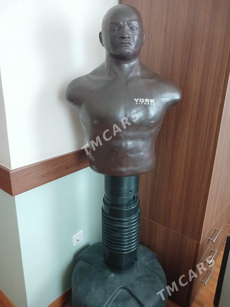 Geman grusa - Bagyr - img 2
