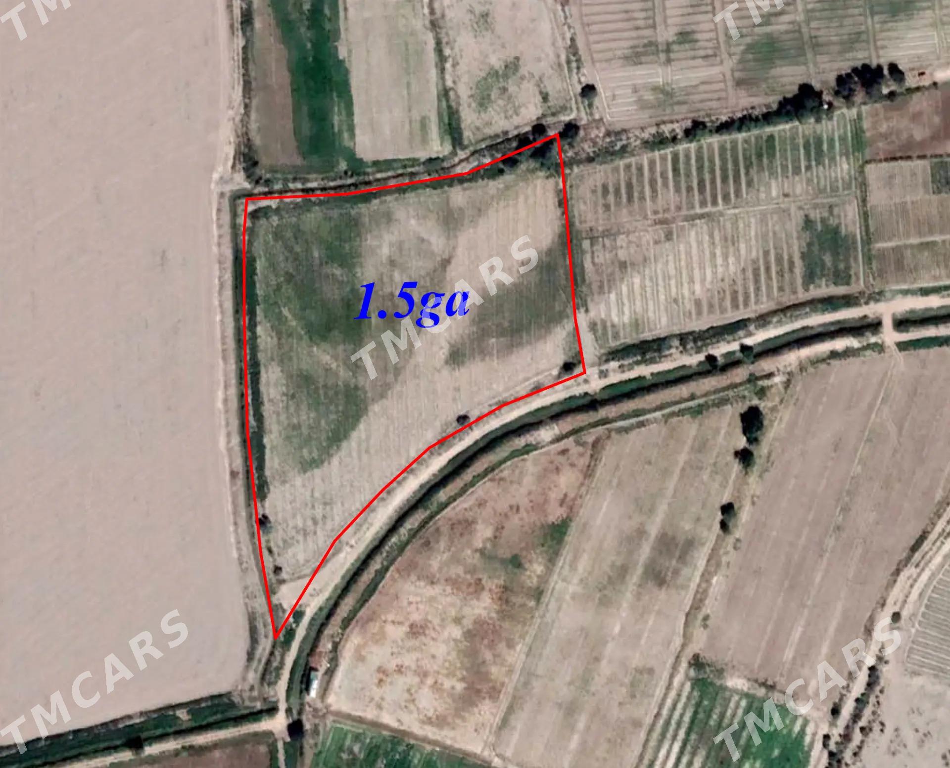 meydan bag uchin - Дашогуз - img 2