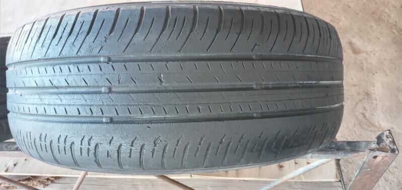 Teker Radial  Dunlop 205.55.16 75 TMT - Daşoguz - img 5