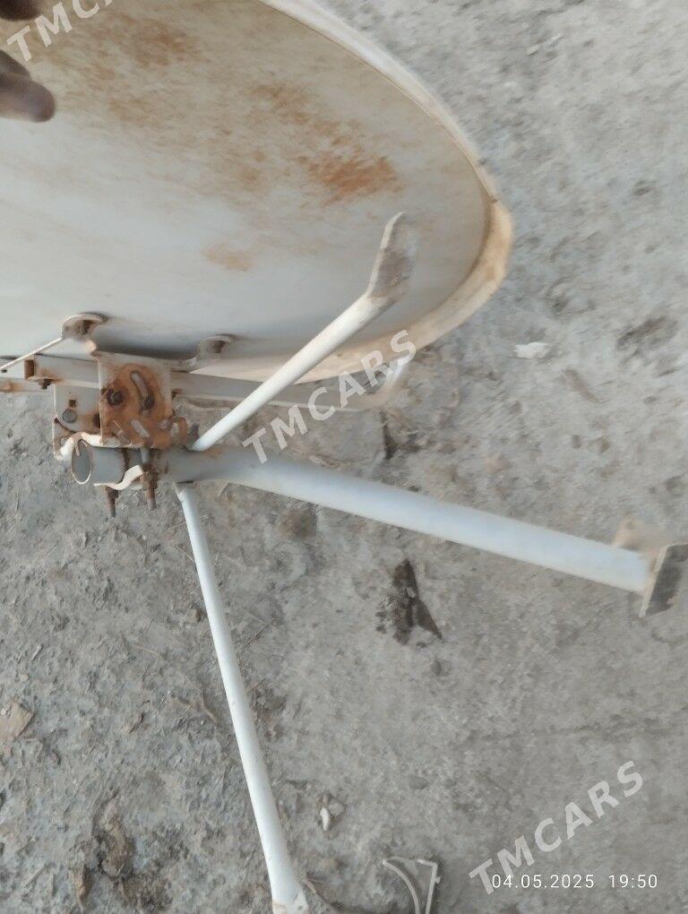 Antena - Mary - img 2