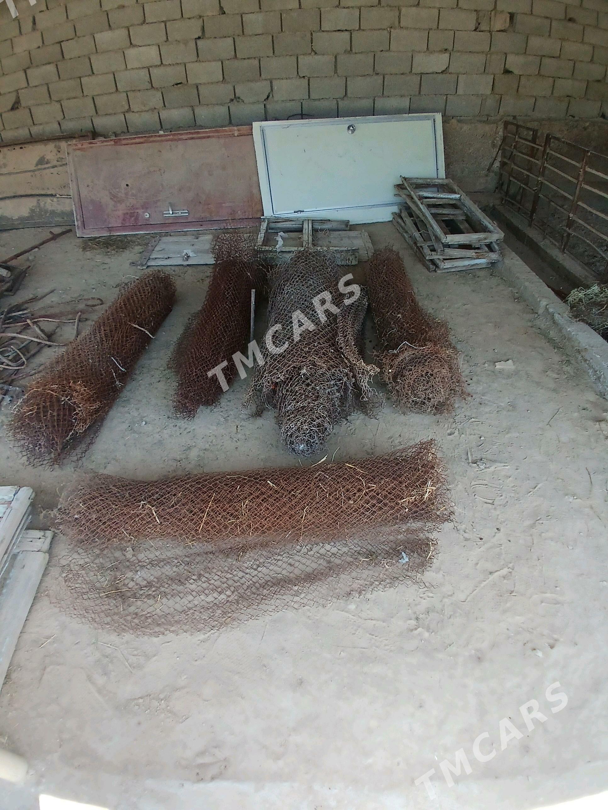 Gurlyşyk matyrýallar - Ak bugdaý etraby - img 2