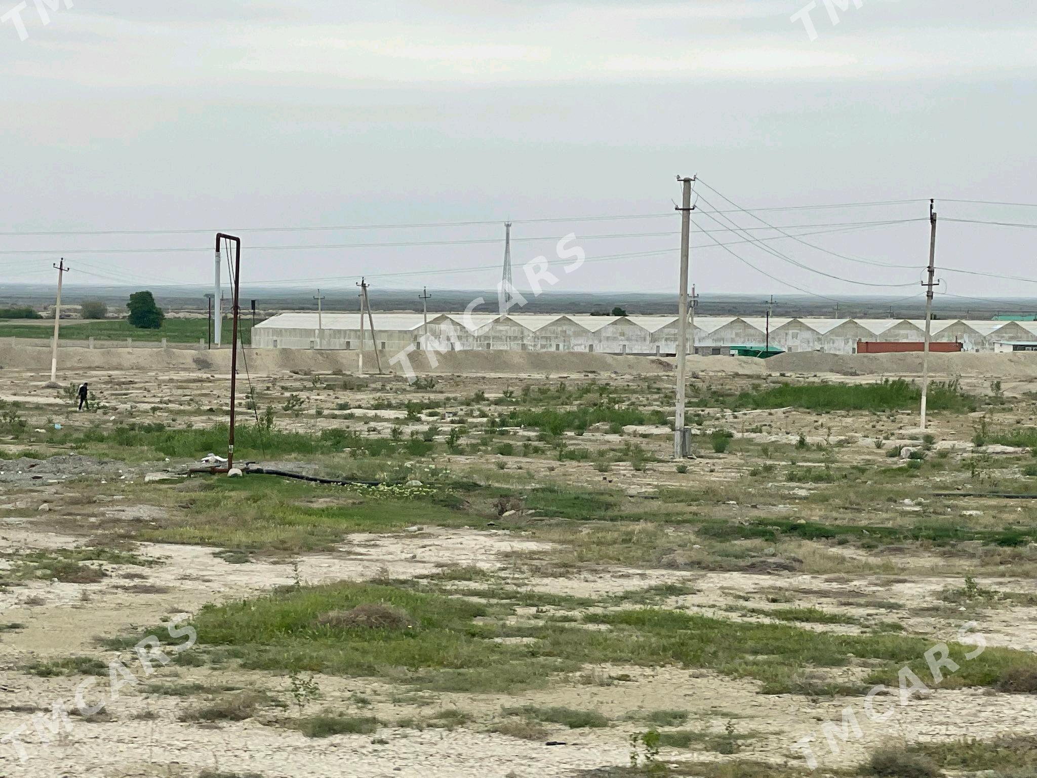 Tiplissa 3gektar. - Бахарден - img 5