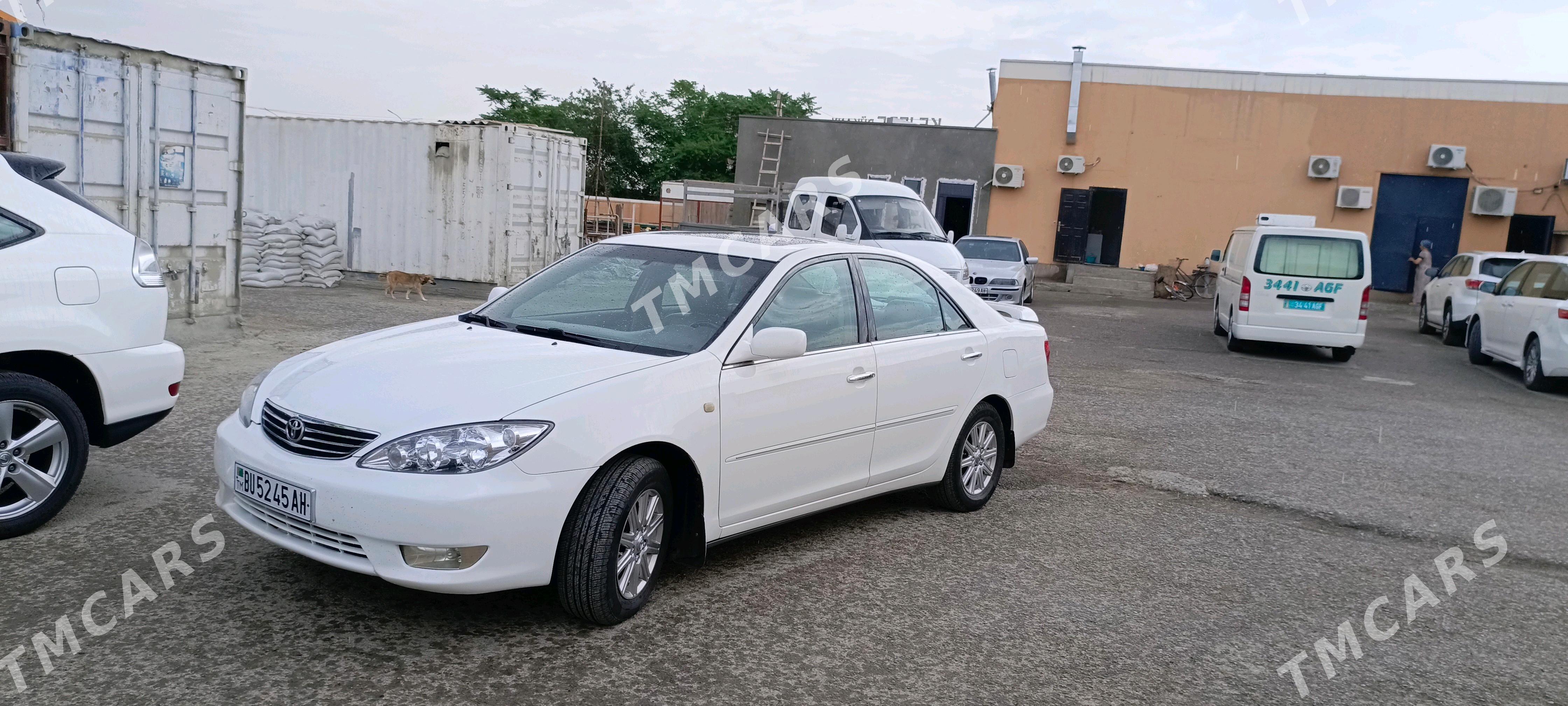 Toyota Camry 2002 - 195 000 TMT - Анев - img 3
