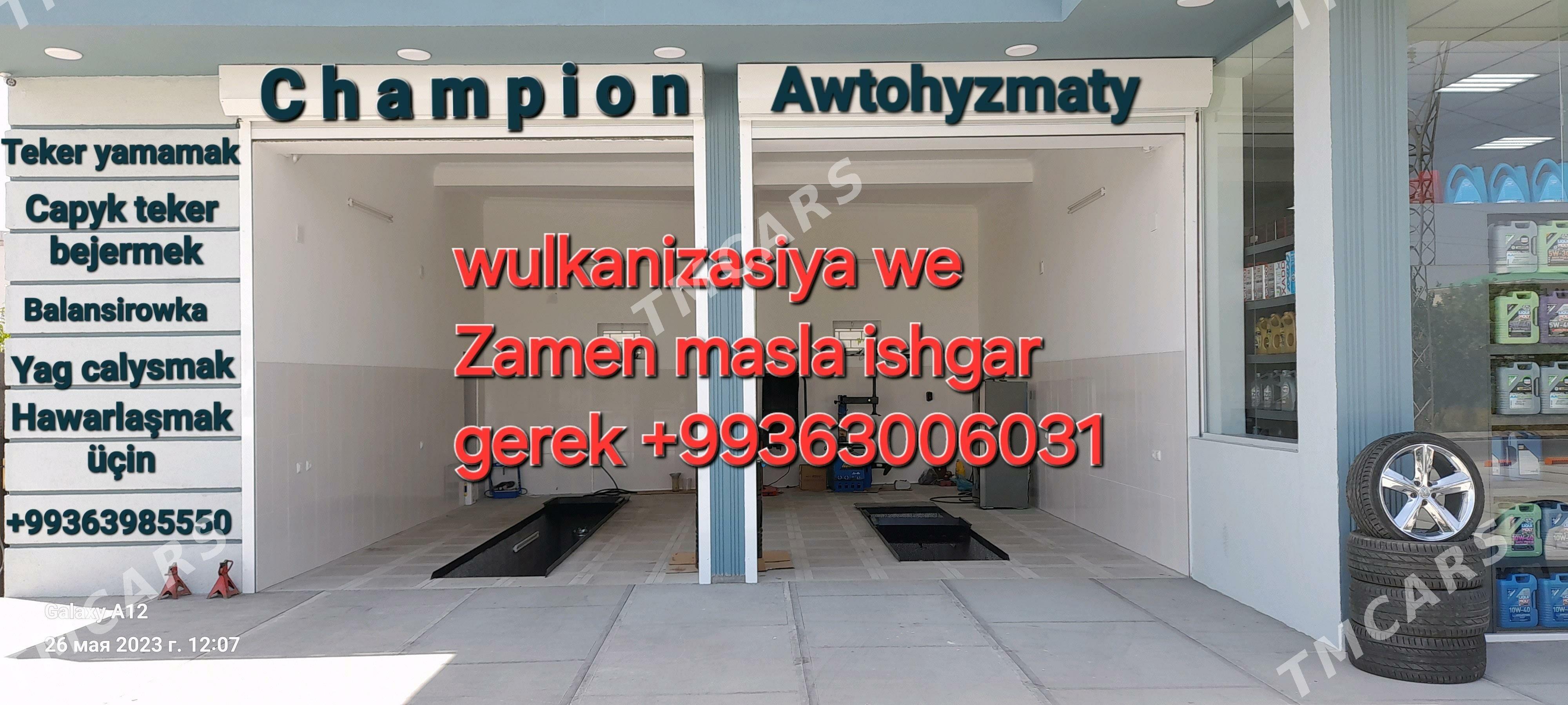 wulkanizasiya yag çalyşýana - Mary - img 2