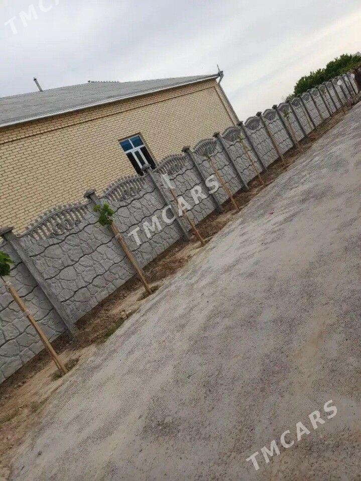 Neton zaabod - Туркменгала - img 2