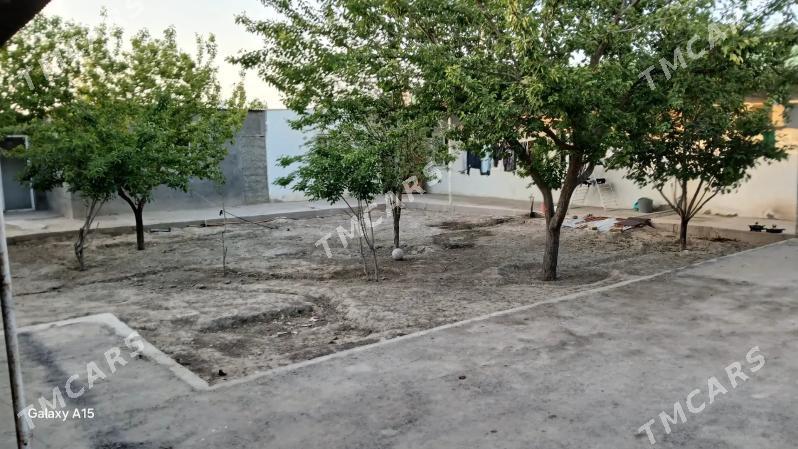 bagyr 10 sot - Багир - img 3