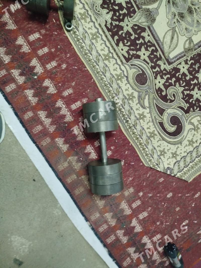gantel  75kg - Änew - img 1
