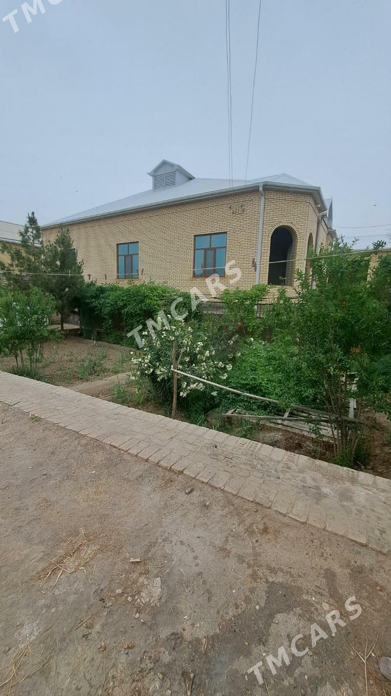 Satlyk jaÿ Mary şaher iskra - Mary - img 6