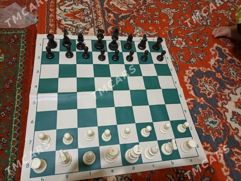 küşt - Änew - img 2