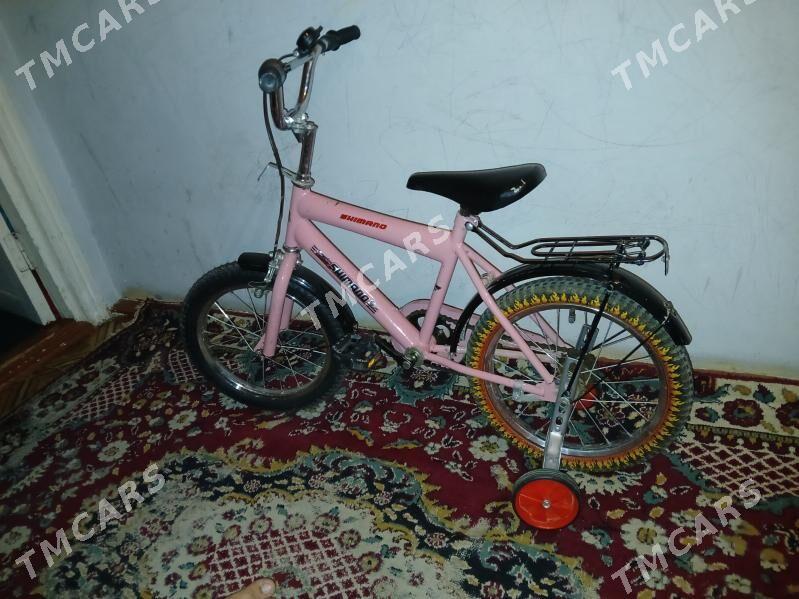 Velik - Дашогуз - img 2