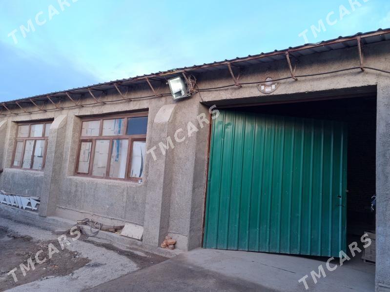 pylan jaÿ - Köneürgenç - img 2