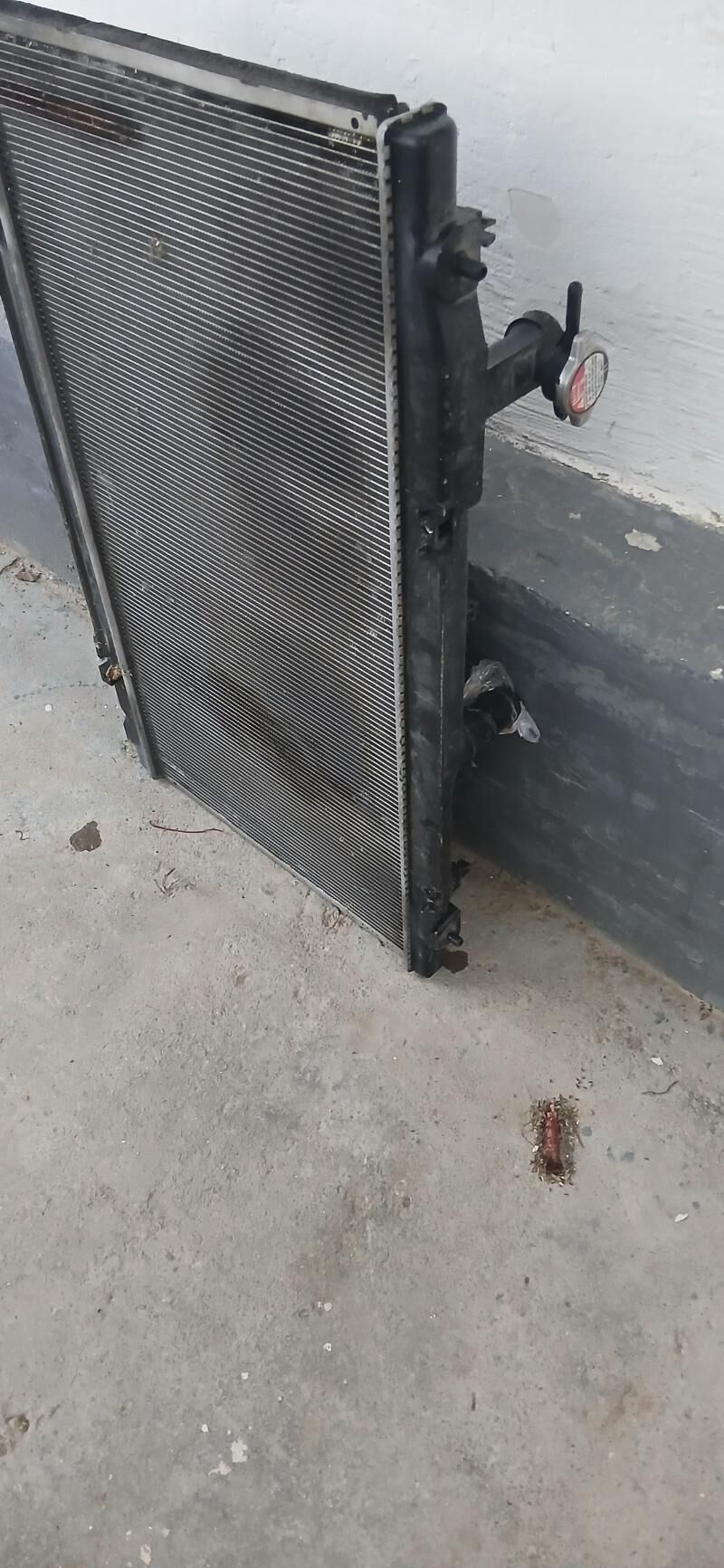 LEXUS RADIATOR 600 TMT - Kim raýon - img 2