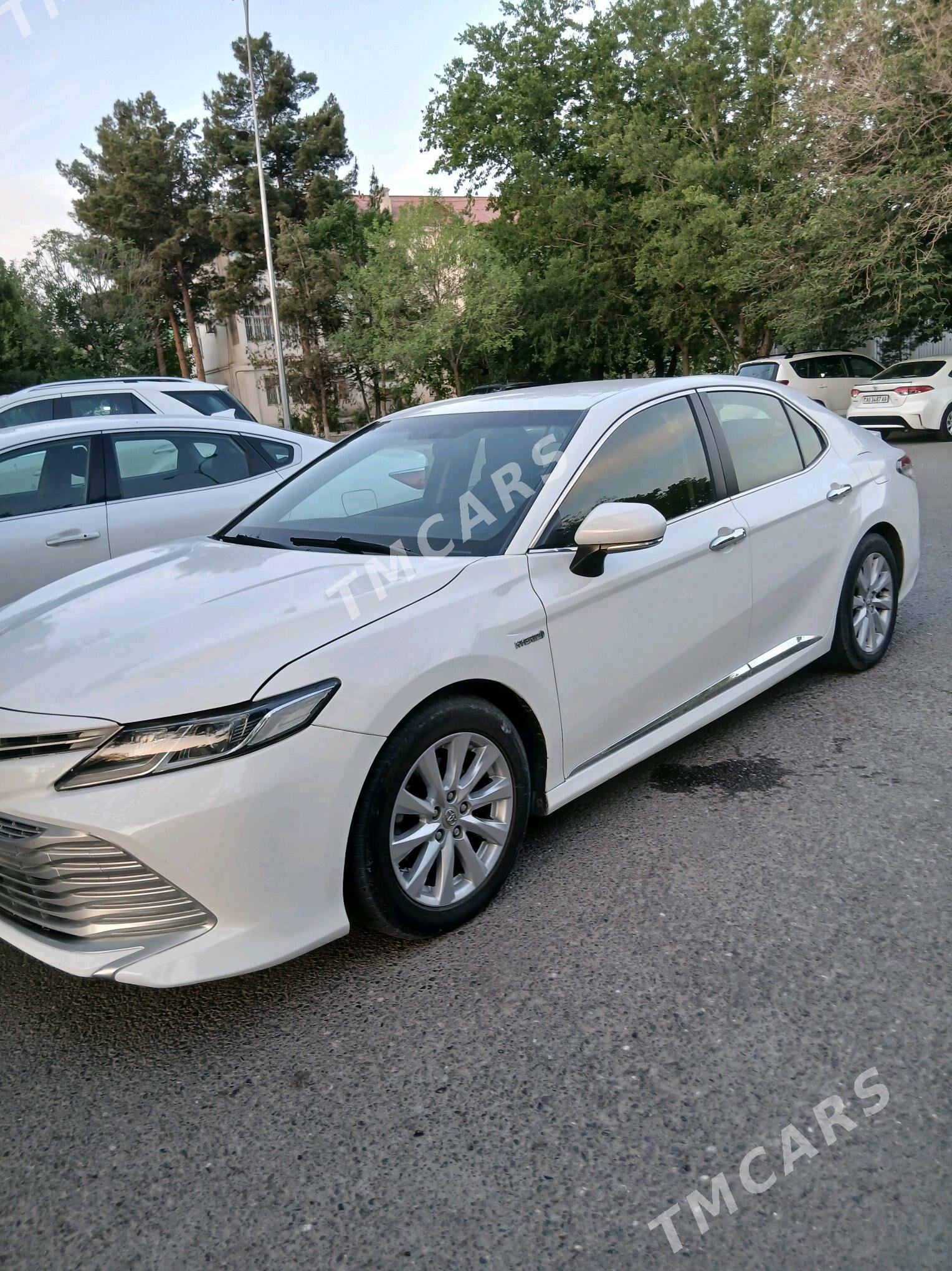 Toyota Camry 2019 - 240 000 TMT - Gökdepe - img 2