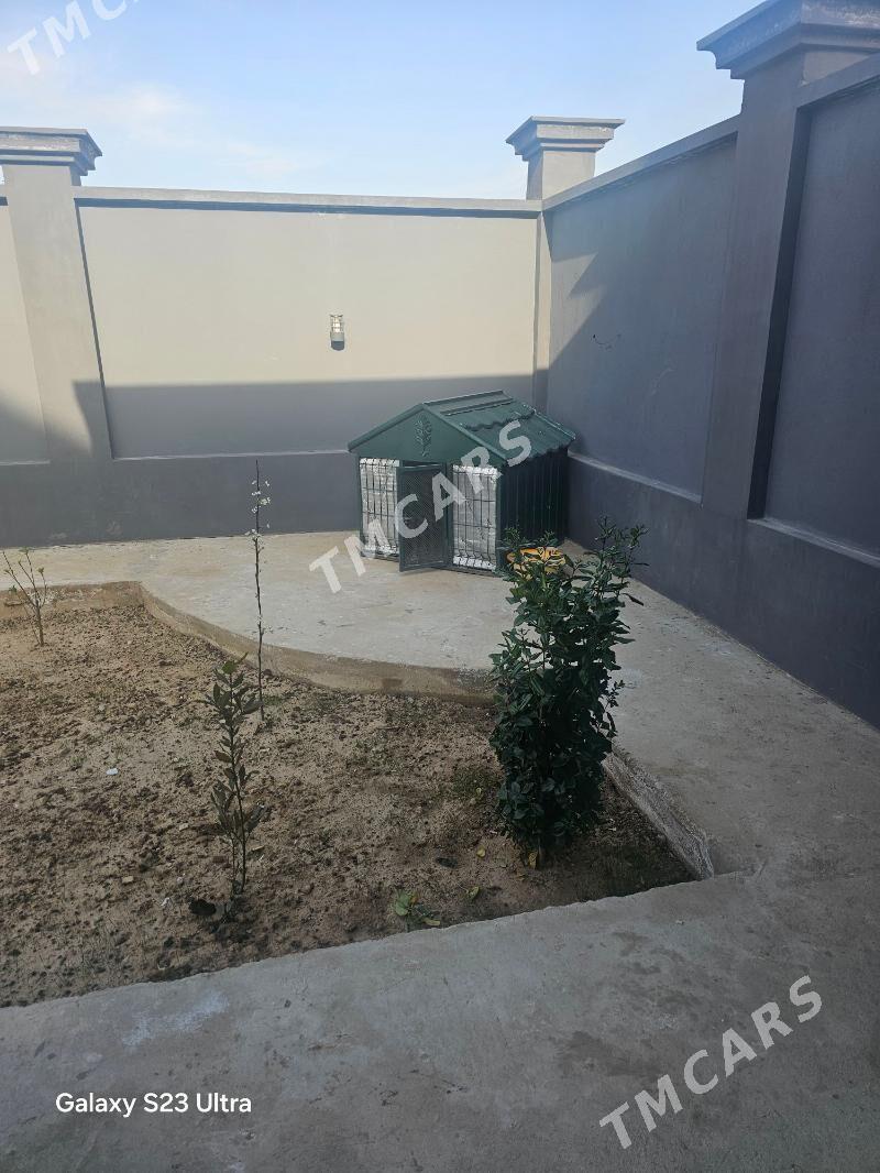 it yatak - Balkanabat - img 2