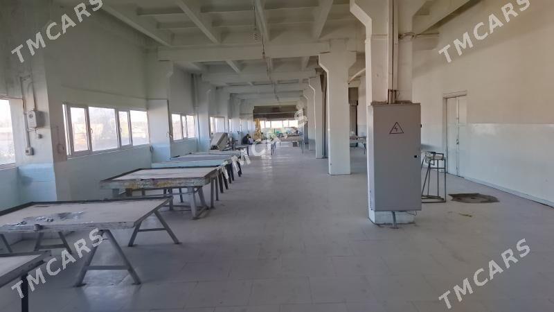onumcilik seh, ammarlar arenda - Mary - img 3