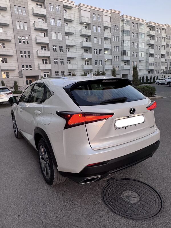 Lexus NX 300 2021 - 465 000 TMT - Ашхабад - img 5