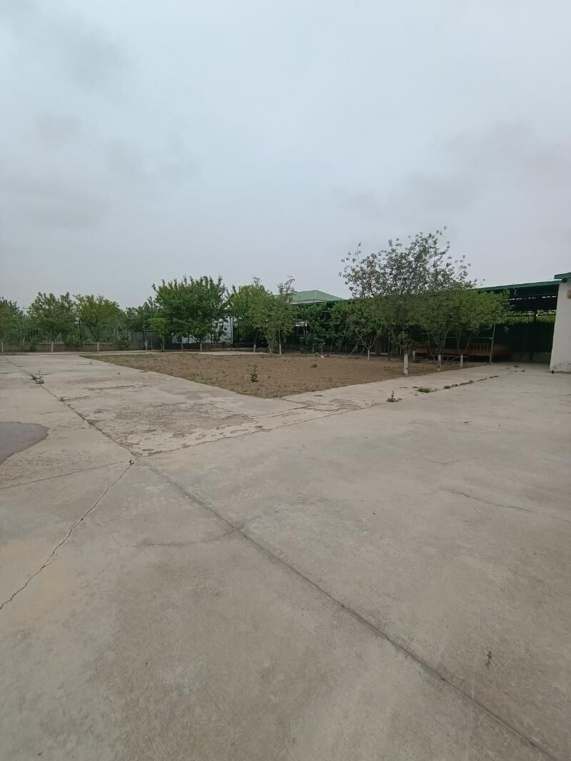 Taze zaman 1-nji tapgyr Katež - Aşgabat - img 4