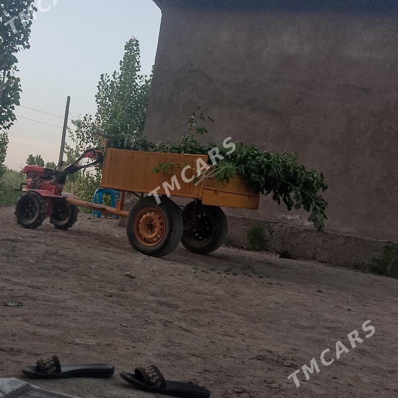 MTZ T-28 2025 - 18 000 TMT - Губадаг - img 4