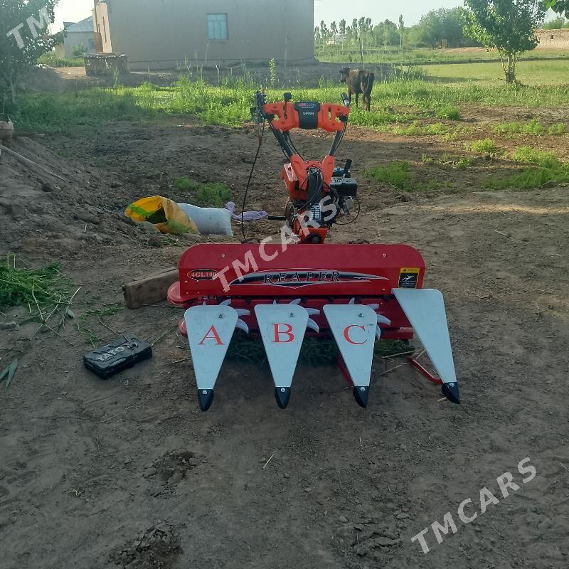 MTZ T-28 2025 - 18 000 TMT - Губадаг - img 5