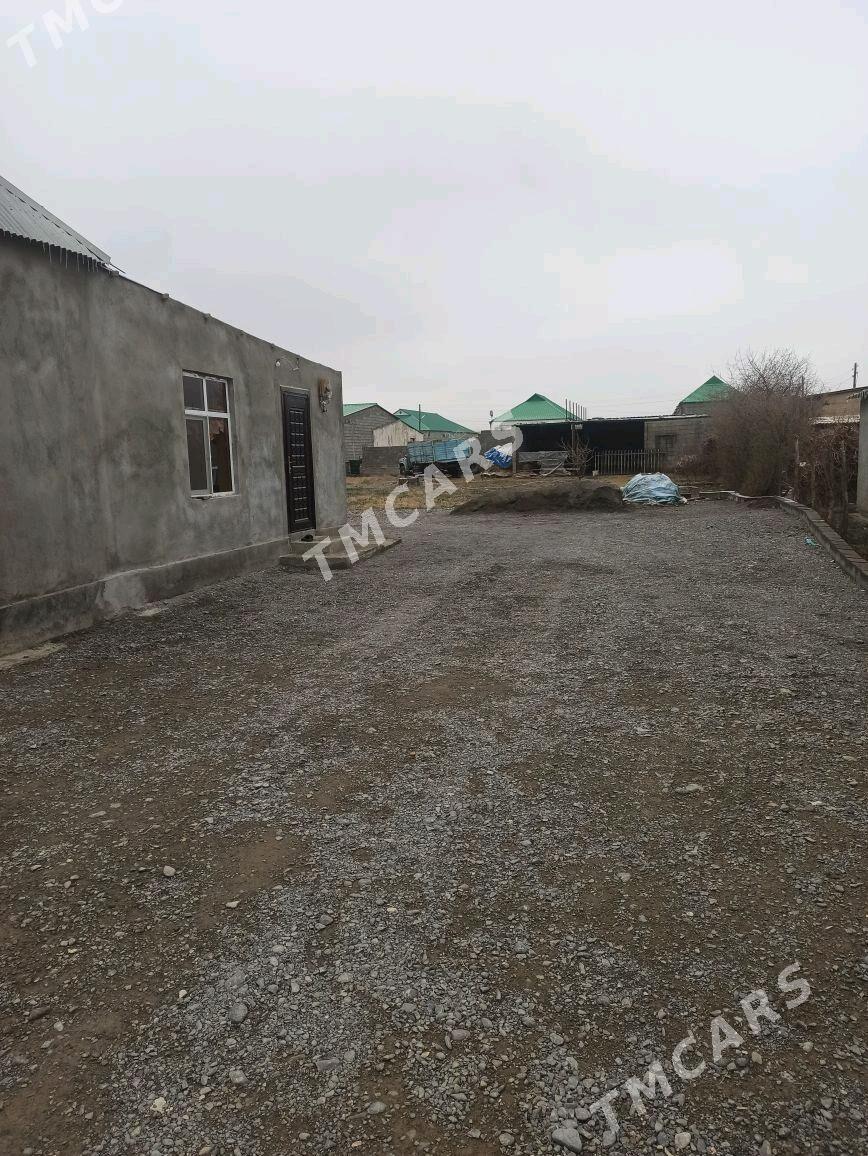 Gokdepe jay - Гёкдепе - img 6