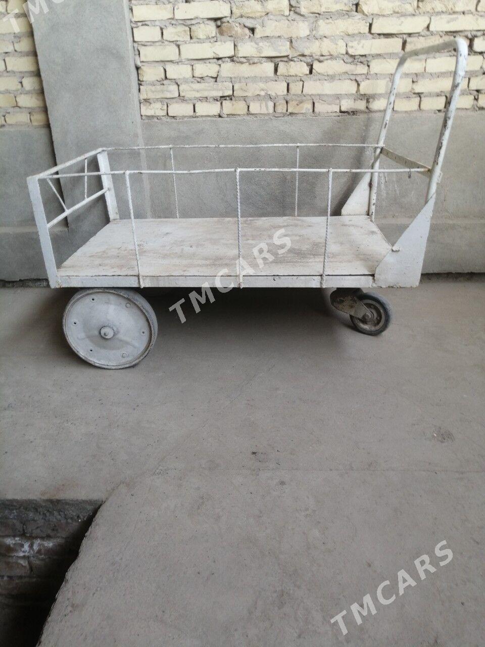 Taçka - Türkmenabat - img 3
