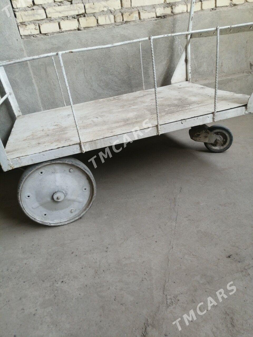Taçka - Türkmenabat - img 2