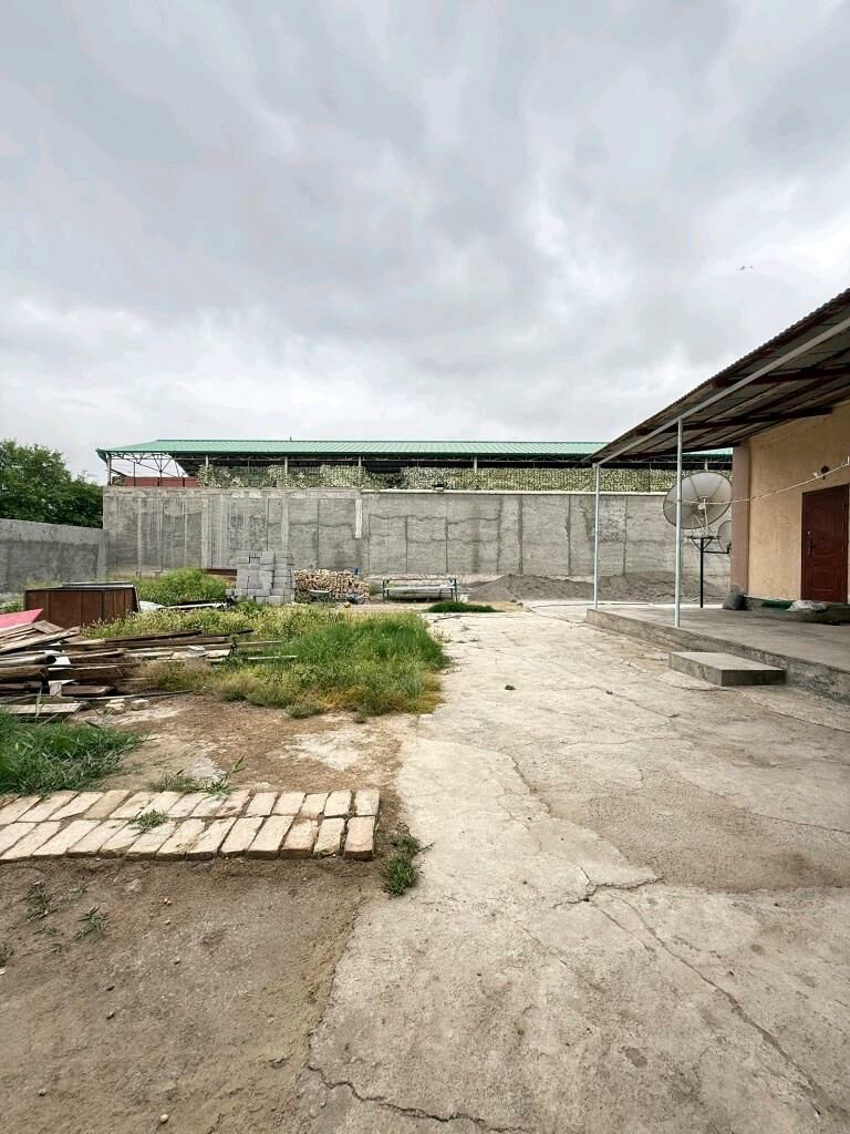 ÇOGONLY 6 SOTOK GYSAG 1 SWETOF - Чоганлы - img 3