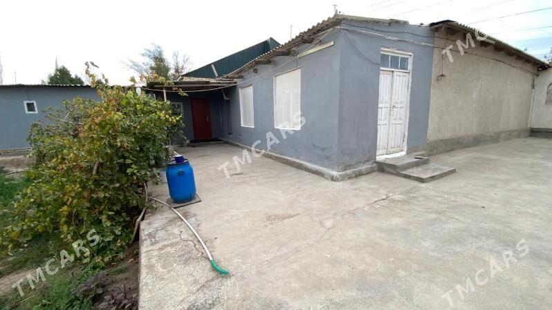 satlyk jay Aşgabat  köçe - Akdepe - img 7