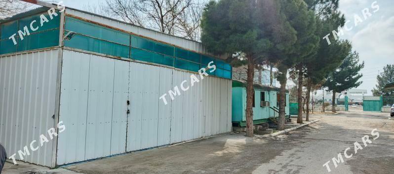 Satlyk  Firma 0.5 Gekdar - Aşgabat - img 7