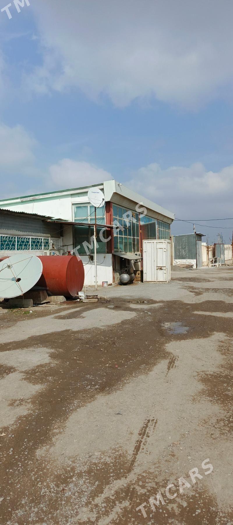Satlyk  Firma 0.5 Gekdar - Aşgabat - img 5