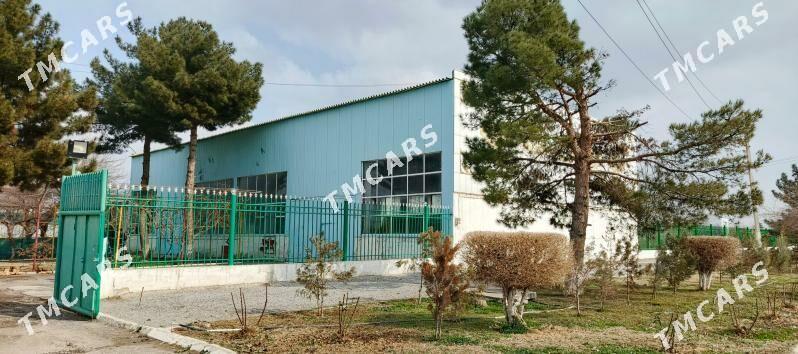 Satlyk  Firma 0.5 Gekdar - Aşgabat - img 9