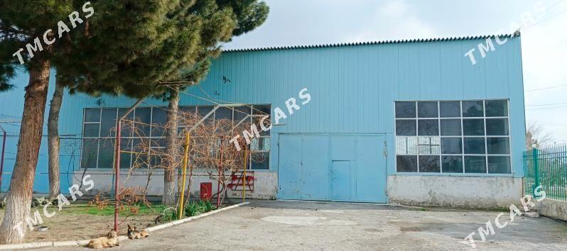 Satlyk  Firma 0.5 Gekdar - Aşgabat - img 4