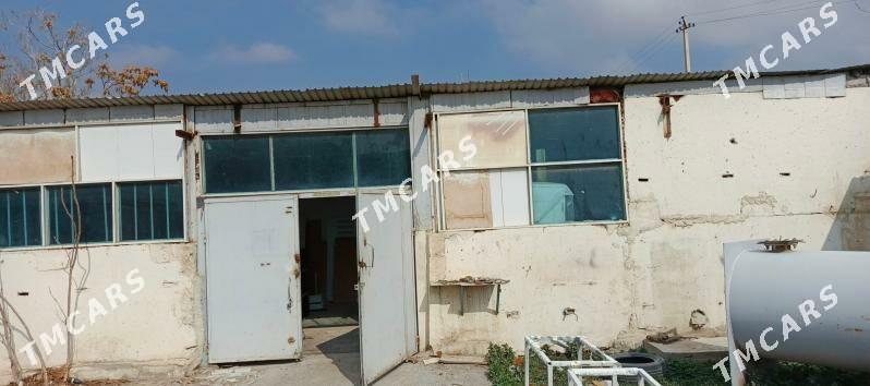 Satlyk  Firma 0.5 Gekdar - Aşgabat - img 6
