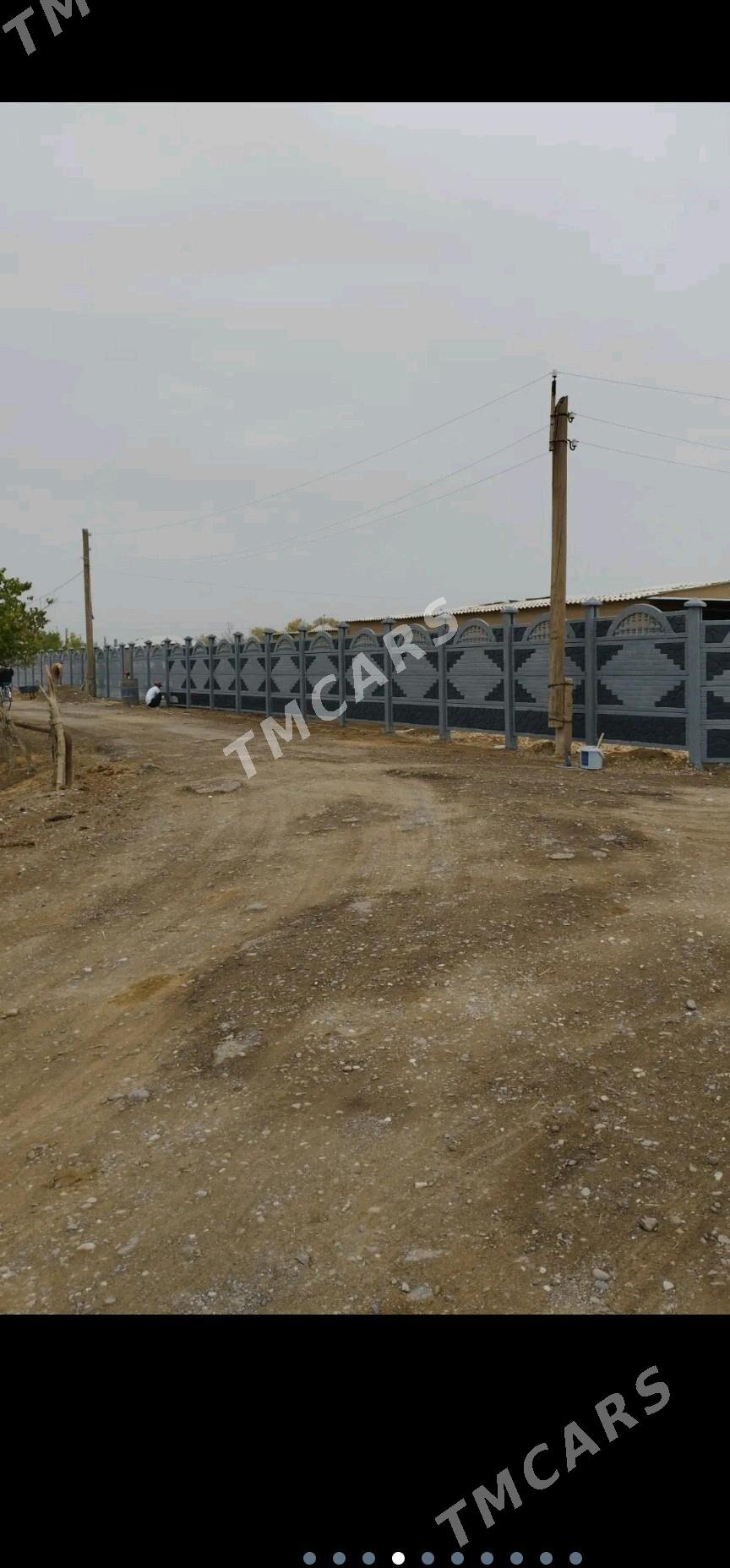 beton zabor - Baýramaly - img 2