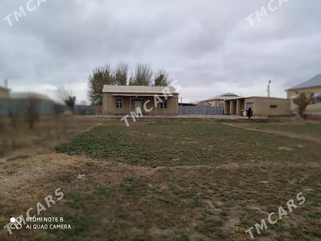 satlyk jaý - Sakarçäge - img 2