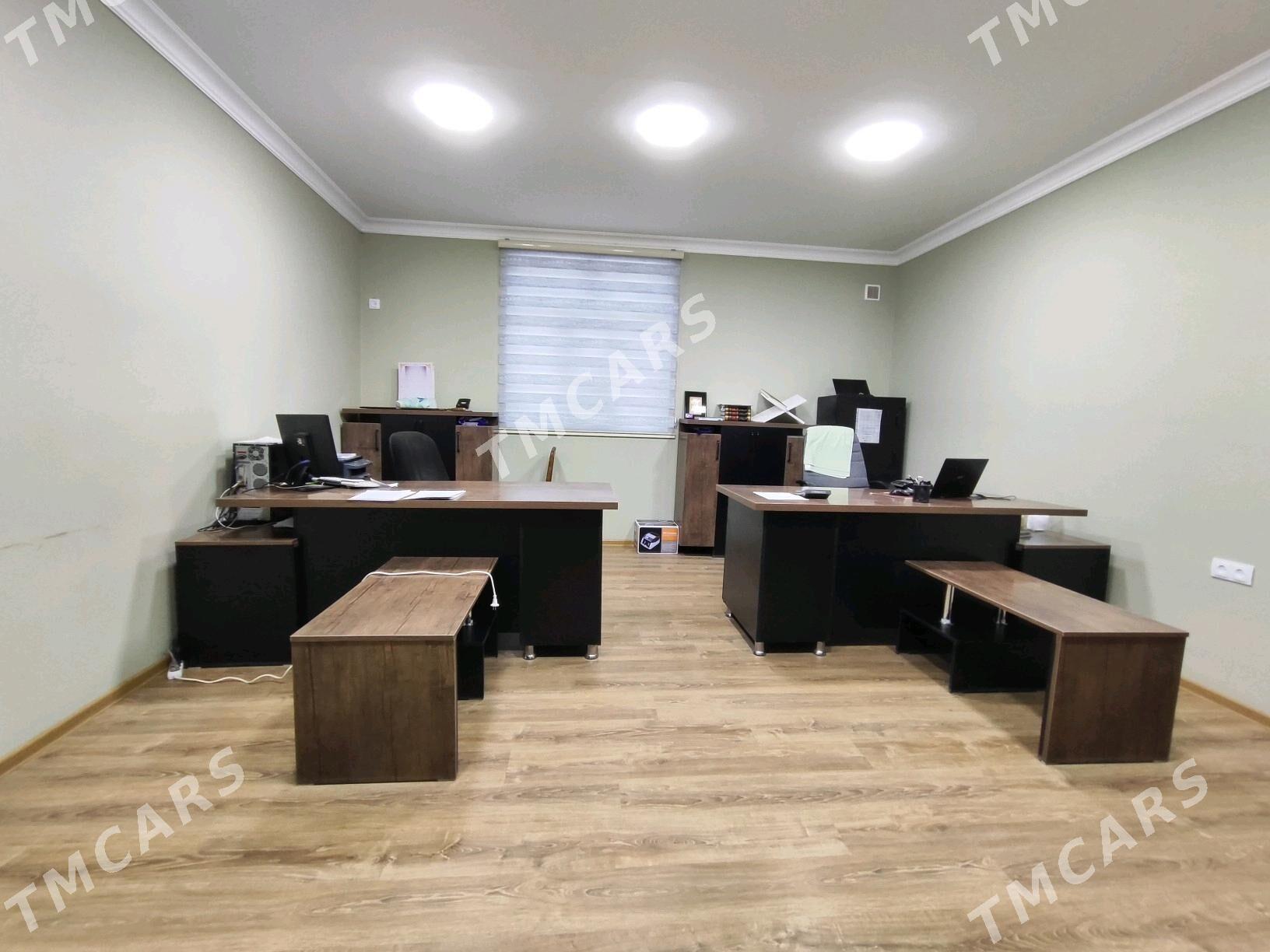 Änew Taÿyn Biznes_Ønümçiligi - Анев - img 4