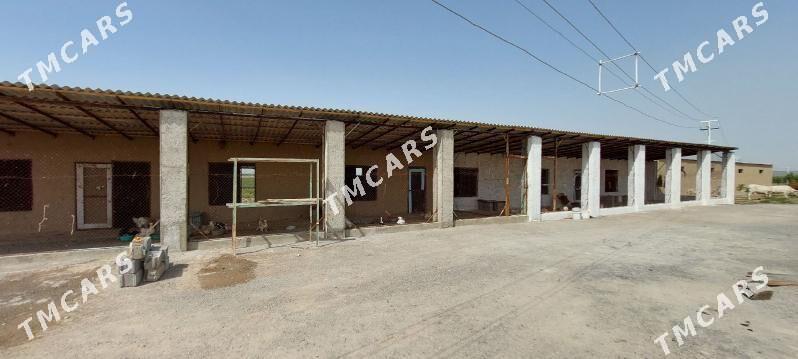 SATLYK BIZNES WE HUSUSY EMLÄKL - Aşgabat - img 7