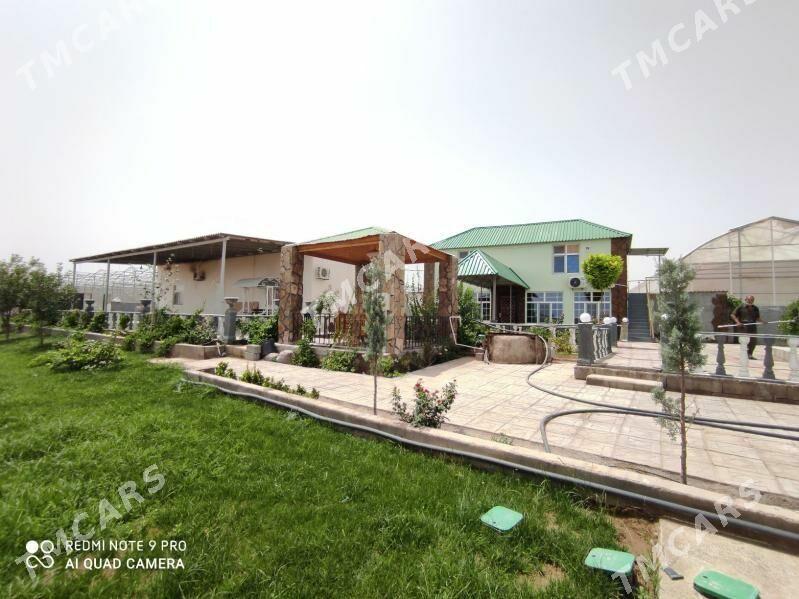 SATLYK BIZNES WE HUSUSY EMLÄKL - Aşgabat - img 2