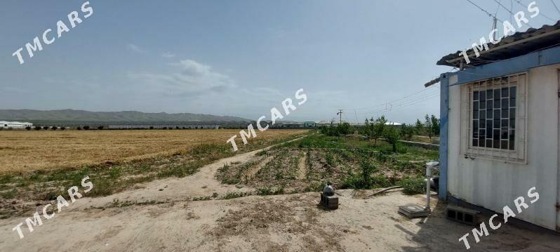 SATLYK BIZNES WE HUSUSY EMLÄKL - Aşgabat - img 4