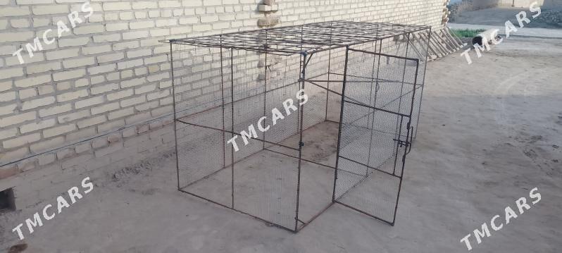 Towuk Ketek - Халач - img 2