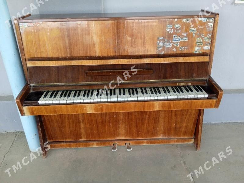 Pianino - Änew - img 2