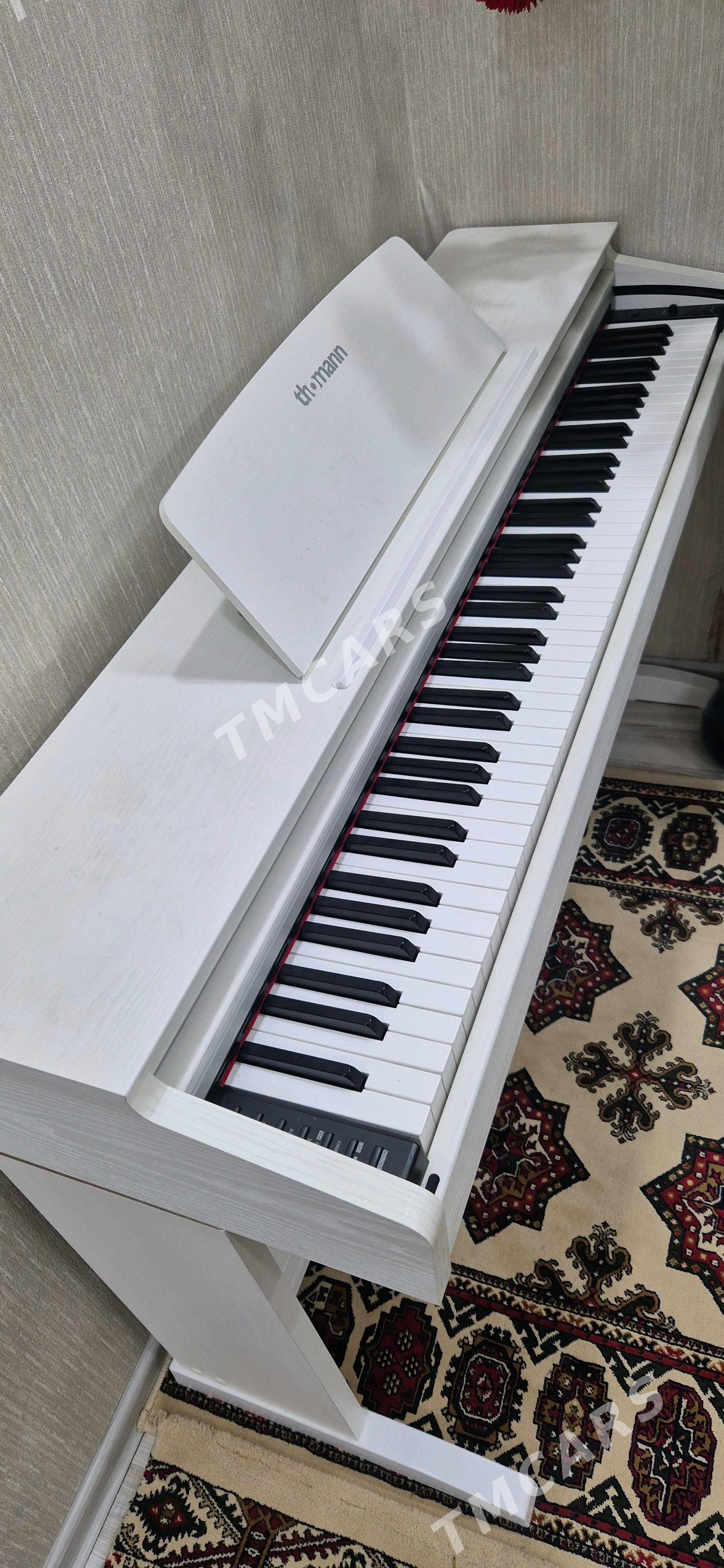 Pianino Elektro thomann - Багир - img 2