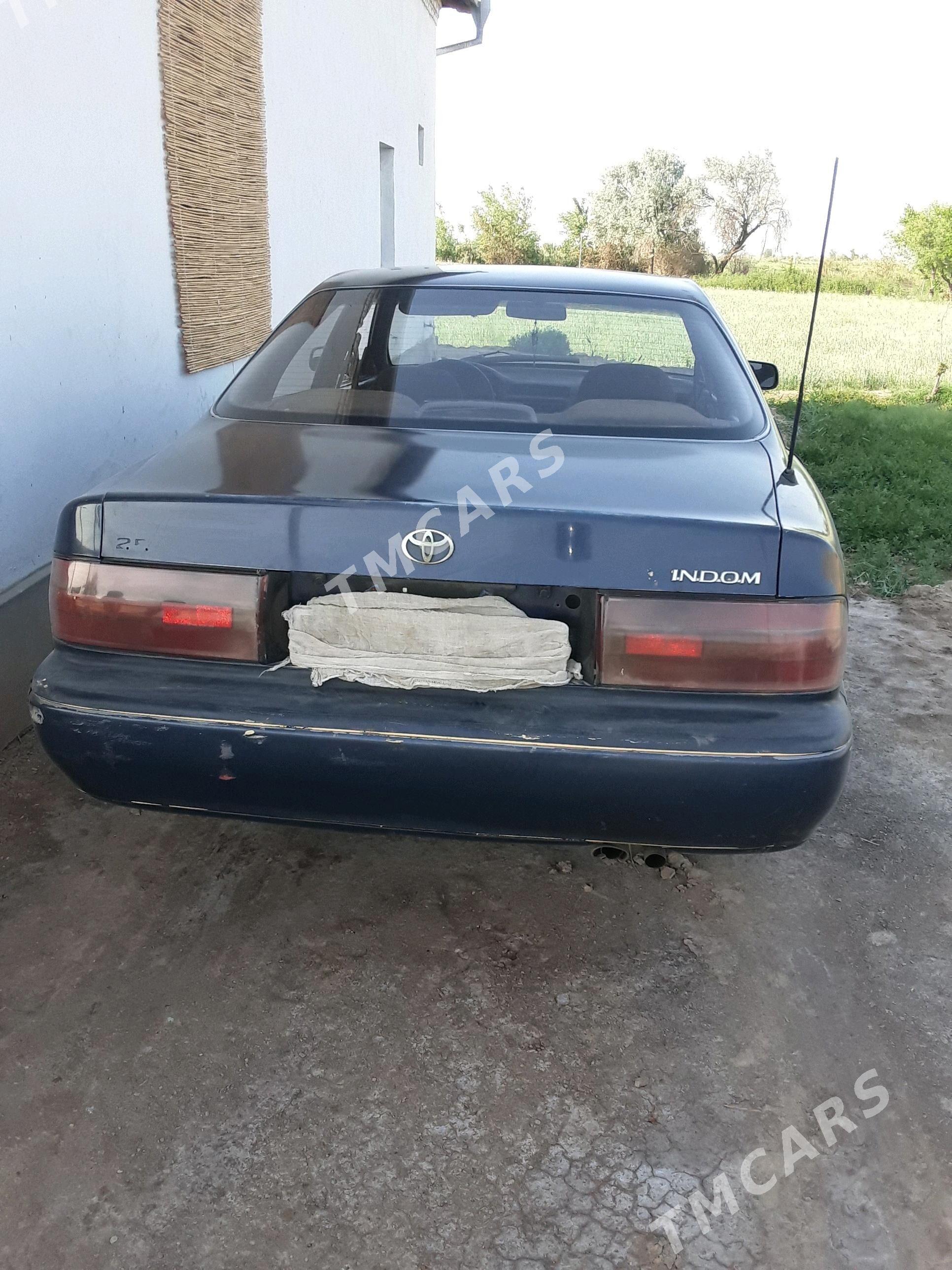 Toyota Windom 1993 - 30 000 TMT - Görogly (Tagta) - img 2