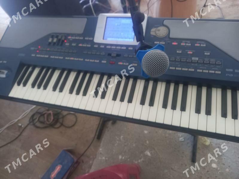 korg pa 800 - Туркменабат - img 2