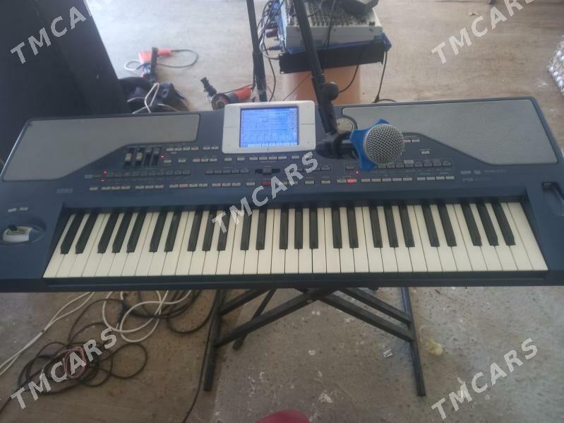 korg pa 800 - Туркменабат - img 3