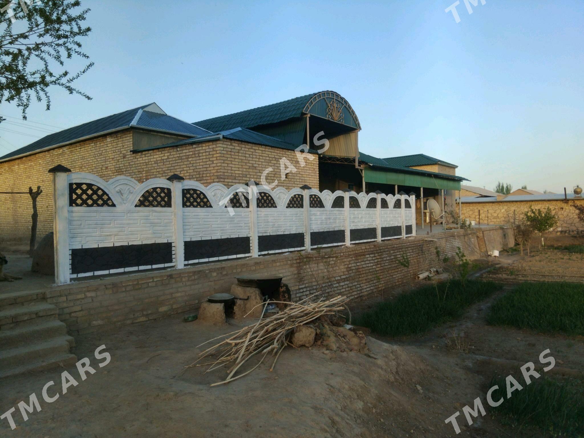 Beton Zabor (Haýat) - Sakarçäge - img 1