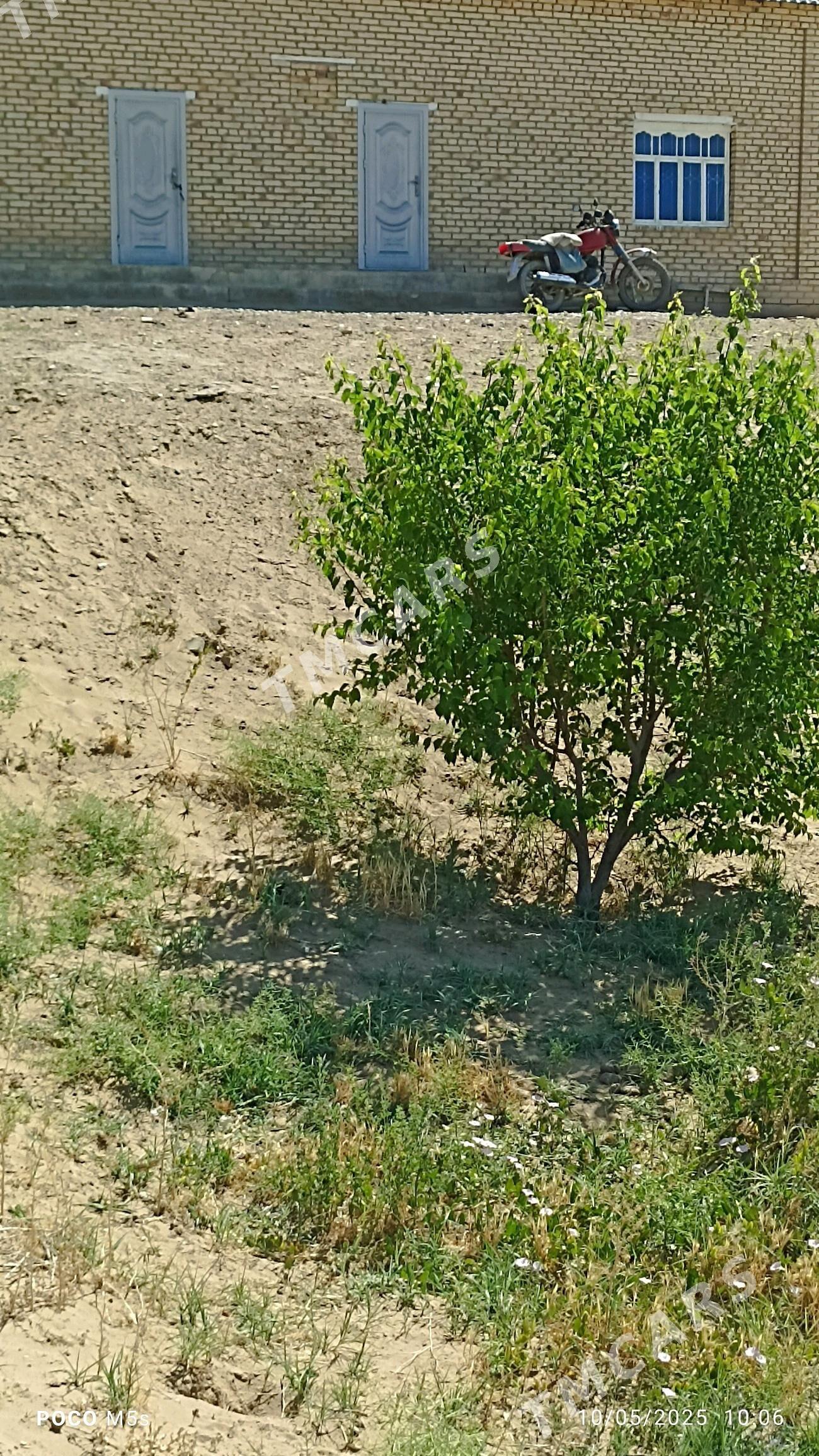 satlyk jaý - Mary - img 2