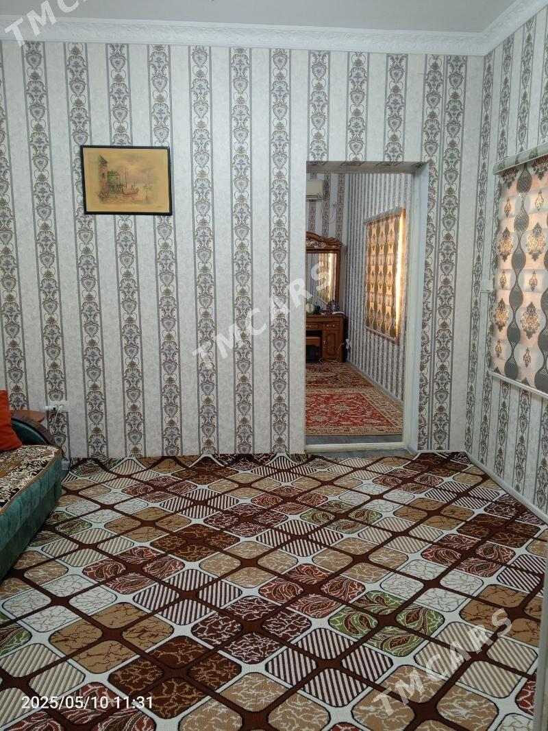 Багир мереве - Bagyr - img 3