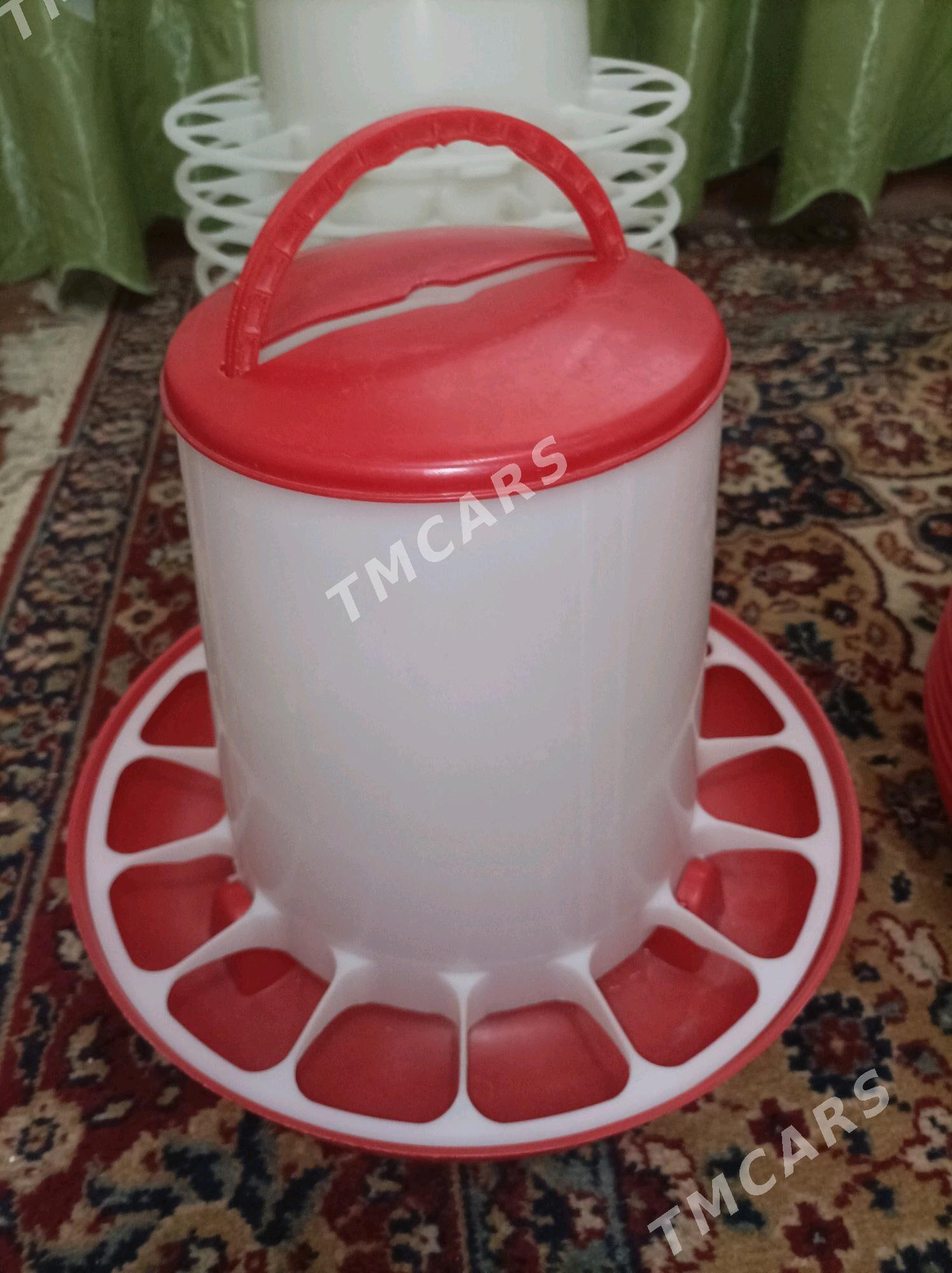 Kormushka iym berilyan - Çärjew - img 3