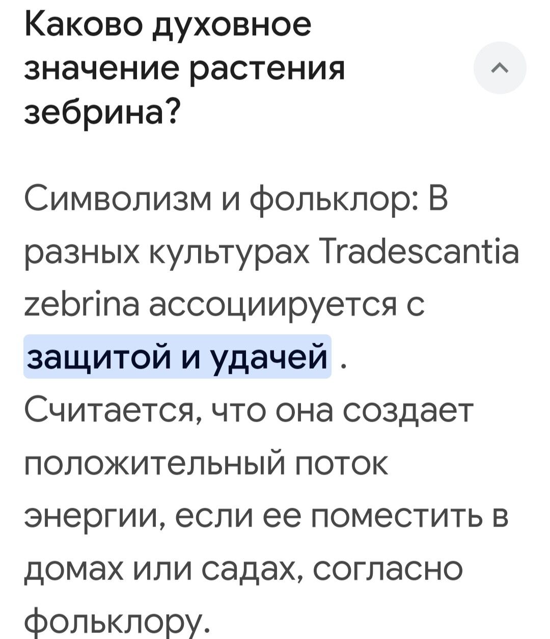 Домашние цветы - Kim raýon - img 2